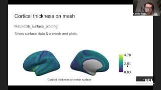 BrainHack 2020 - Micro2Macro