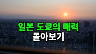 일본 도쿄의 매력: 몰아보기