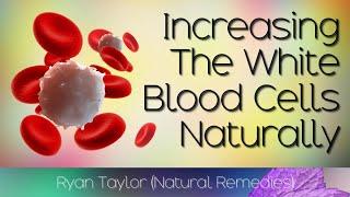 How To Increase White Blood Cells