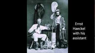 Thao Nguyen Xanh - Sad Violin