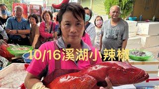 溪湖小辣椒️海鮮叫賣 台中市潭子區復興路二段98號 1016