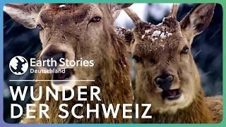 XXL-Doku: Faszination Schweiz - Eine Wunderwelt im Schnee | Earth Stories Deutschland