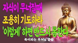 말없이 무너지는 아이를 위한 단 하나의 위로 #부모의마음 #아이우울증 #마음수행 #자비로운부모 #부처님말씀 #육아명상 #가족상처 #말없는사랑 #마음챙김 #아이의고통 #심리치유