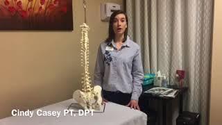 Pelvic Floor and Core Rehab- Cindy Casey, PT DPT