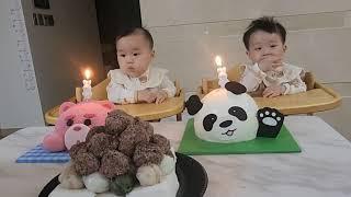첫생일케이크 쭈니후니