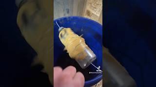 DIY Homemade Rat Trap #rat #trap #diy #homemade