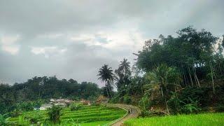 SUASANA KEHIDUPAN DESA PERKAMPUNGAN SUNDA TERINDAH. MANDALA TASIKMALAYA