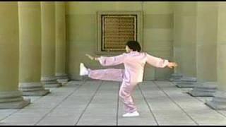 Taichi Qigong-Taiyi Swimming Dragon Quan (first form)