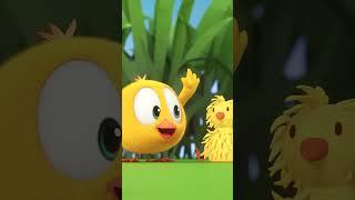 New friends  #chicky | Chicky Cartoon in English for Kids