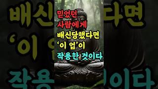 "믿었던 사람에게 배신당했다면, '이 업'이 작용한 것이다" #부처님말씀 #불교명언 #삶의지혜 #인생조언 #처세술 #감정정화 #불교지혜 #마음공부 #인간관계 #오디오북
