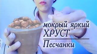 ASMR АСМР Мокрый яркий хруст Песчанкой/Wet bright crunch of Gerbil #chalk #мел #хруст #crunch