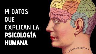 14 Curiosidades Sobre La Psicología