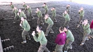 Marine Corps Boot Camp - Marine Corps Martial Arts Program (MCMAP)