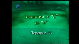 Экология. Передача 33. Биологическая очистка воды