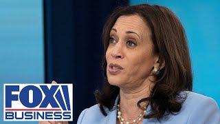 Kamala Harris explains Russia-Ukraine crisis in 'layman's terms'