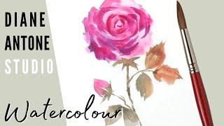 How to Paint a Watercolor Rose  - Easy Beginners Real Time Step by Step Painting Art Tutorial