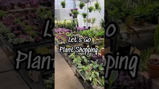 Rare Plant Shopping at Dietrich Gardens  #plantshopping #rareplants #jaclynnsjungle #plantshorts