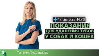 Показания для удаления зубов у собак и кошек