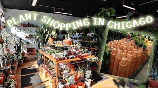 Houseplant Shopping in Chicago 