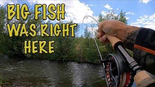 THAT IS A TANK - Fly Fishing Small Creek in ASPEN Colorado for TROUT