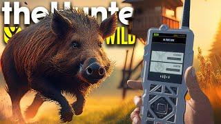 Dieser Caller ist das BESTE am Update! Noch nie war jagen so leicht!  | theHunter Call of the Wild