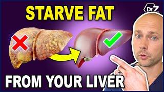 How To Starve Fat Off Your Liver - And Your Belly
