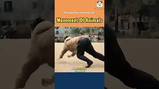 The man likes to imitate the movement of animals
