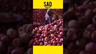 Jai Jawan Jai Kisan‍. Sad Story of Onion Farmers! #shorts #farmer