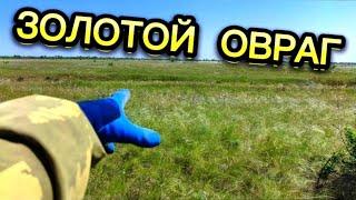 ЧУЙКА НЕ ПОДВОДИТ!!! НАШËЛ НЕТРОНУТЫЙ МЕТАЛЛ!!!ПОИСК БЕЗ КАРТ!!!