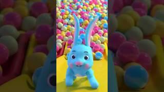 Rabbit Went Over Tee Mountain |#children songs#toddlers song#unknown creator