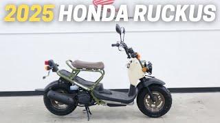 10 Things You Need To Know Before Buying The 2025 Honda Ruckus