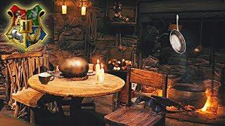 Hagrid's Hut [ASMR]  Harry Potter Ambience  Dragon egg   Cozy Fire  Warm Tea