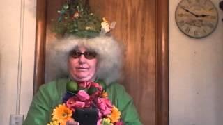 Robin Hensel Lyme Disease Challenge