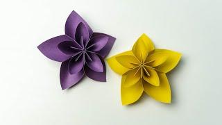 DIY Beautiful Paper Flowers: Step-by-Step Tutorial