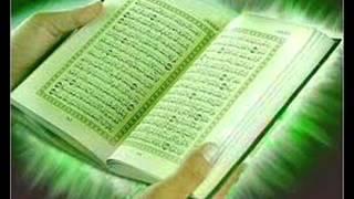 المائدة 37 41