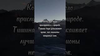 Когда тебе плохо — прислушайся к природе. Тишина мира успокаивает лучше, чем миллионы ненужных слов.