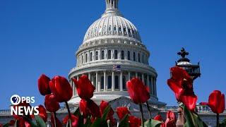 WATCH LIVE: Senate holds hearing on unidentified aerial phenomena, better known as 'UFOs'