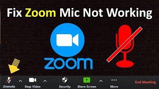 How to Fix Zoom Microphone Not Working Problem in Windows 11