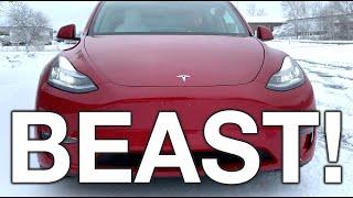 Tesla Winter Beast Mode!