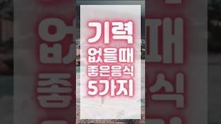 기력없을때 좋은음식 5가지
