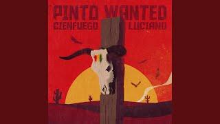 Pinto Wanted