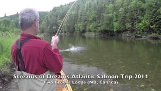 Bob Bennett Lands Atlantic Salmon on Dry Fly With Thomas and Thomas Bamboo Rod and Bogdan Reel