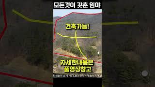 모든것이 갖춘 임야매매 건축가능~임도길 전기 물~세상사는 부동산#shorts
