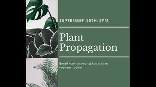 Plant Propagation with Shawnee County Extension Master Gardener, Lynn Weaver