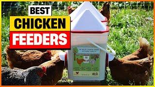 Best Chicken Feeders 2024 [Top 7 Pick]