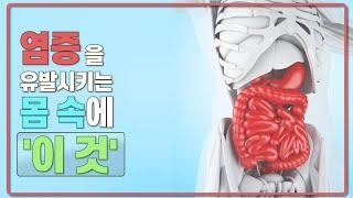 우리 몸속에 염증을 일으키는 '이것'을 빨리 제거 해야 합니다. - 전 하버드 대학병원 내과의사 김병재 박사