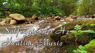  Solfeggio 741 Hz ~ Removes toxins and negativity. Music for meditation.