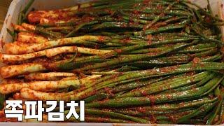 쪽파김치 맛있게 담는 법! 마늘을 넣지 않는 이유는?