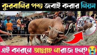 কুরবানির পশু জ/বা/ই করার নিয়ম পদ্ধতি ও দোয়া