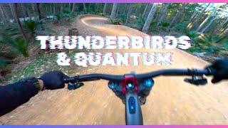 Thunder birds are go, into Quantum | Narooma